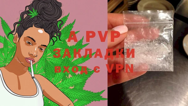 винт Белокуриха