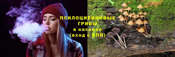 винт Белокуриха